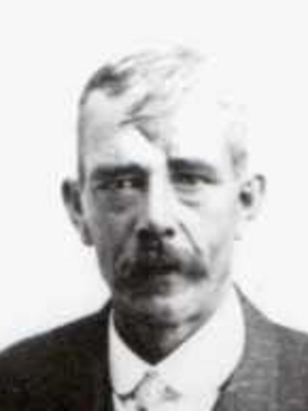 William Henry Wignall (1856 - 1927) Profile
